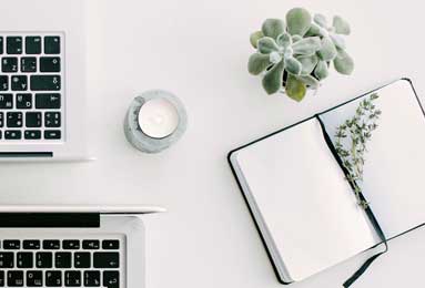 2023年猛龙对阵奇才焦点战：激烈对决，战术解析与球星闪耀